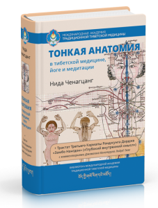 19 tonkaya_anatomiya1